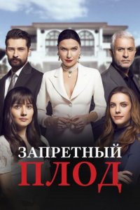 Запретный плод